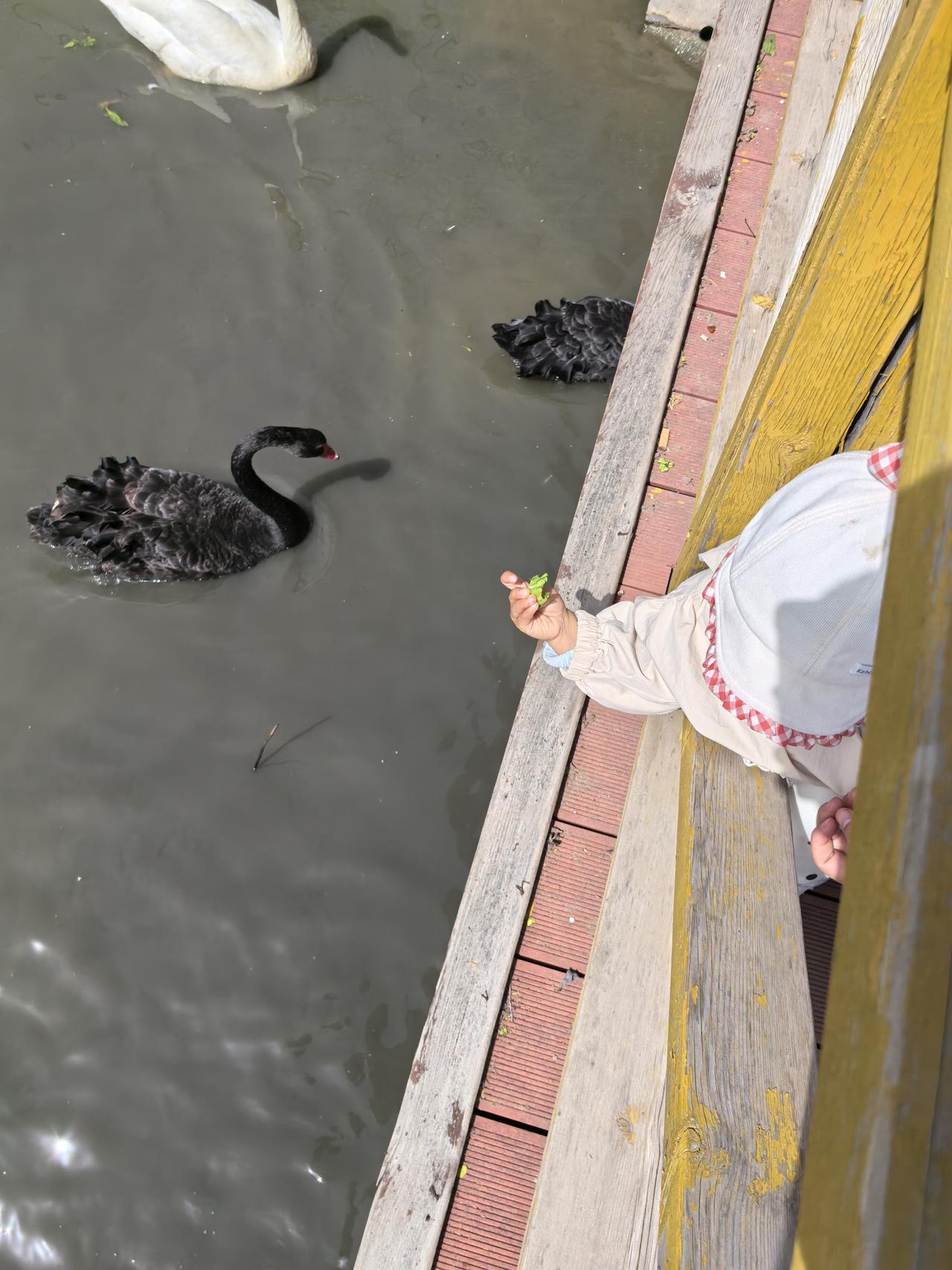 分享我这周有趣的事：春暖花开，来日可期，遛娃日常，陪她成长！