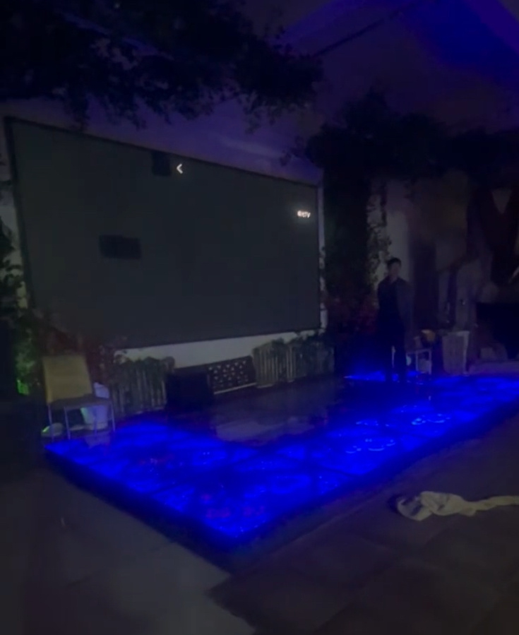 爸爸专门给狗放电影 