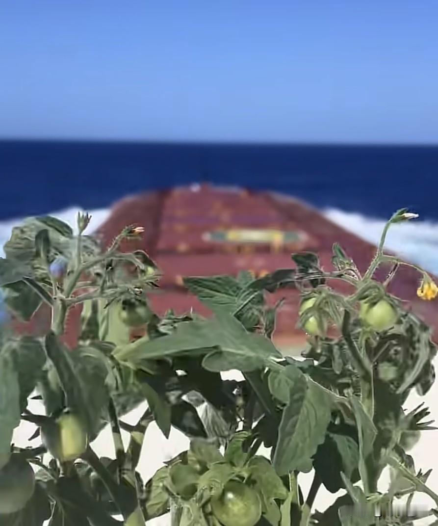 如果这些海运的船，如果装满了货物，如果在中东被导弹击中，误击中的，一个船顺势都是