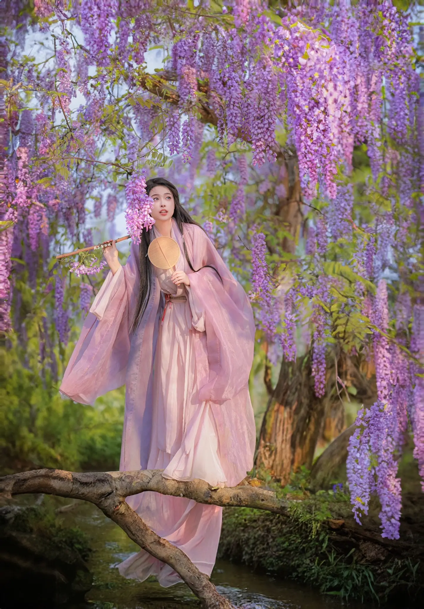 紫藤萝瀑布～
