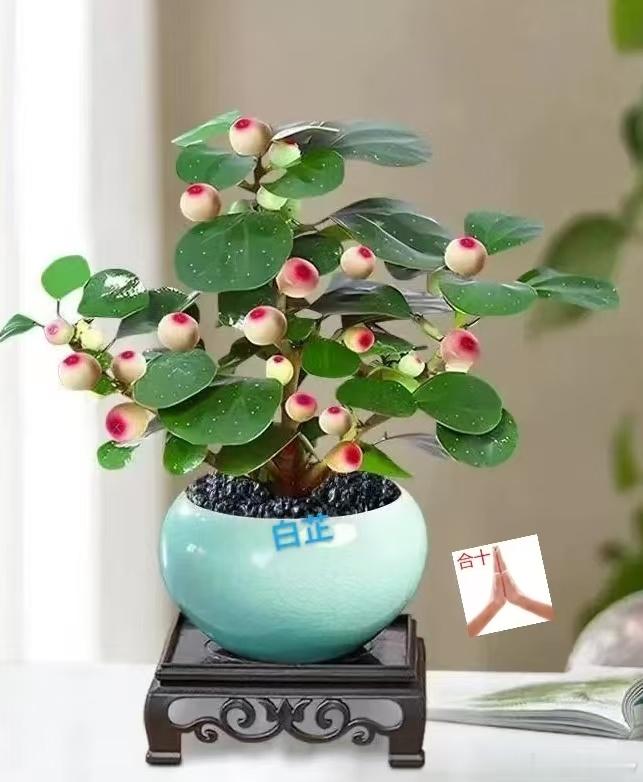 骨缝里的锚·默斋主人原创散文诗后来方才慢慢懂得，真正的安全感，从来不由旁人一句许
