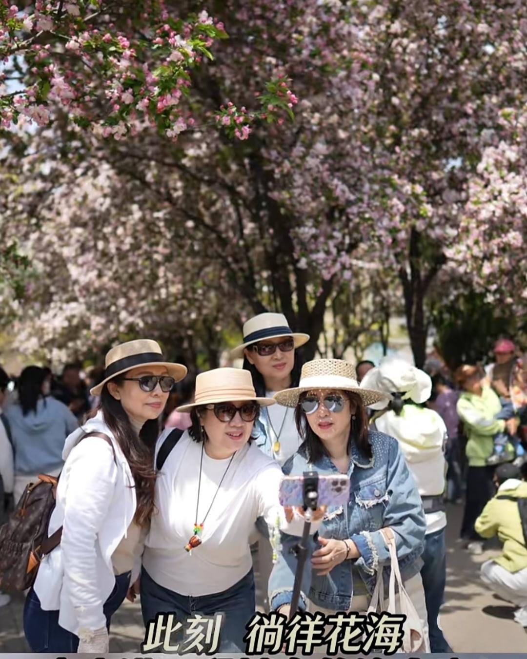 是女人美，还是鲜花美