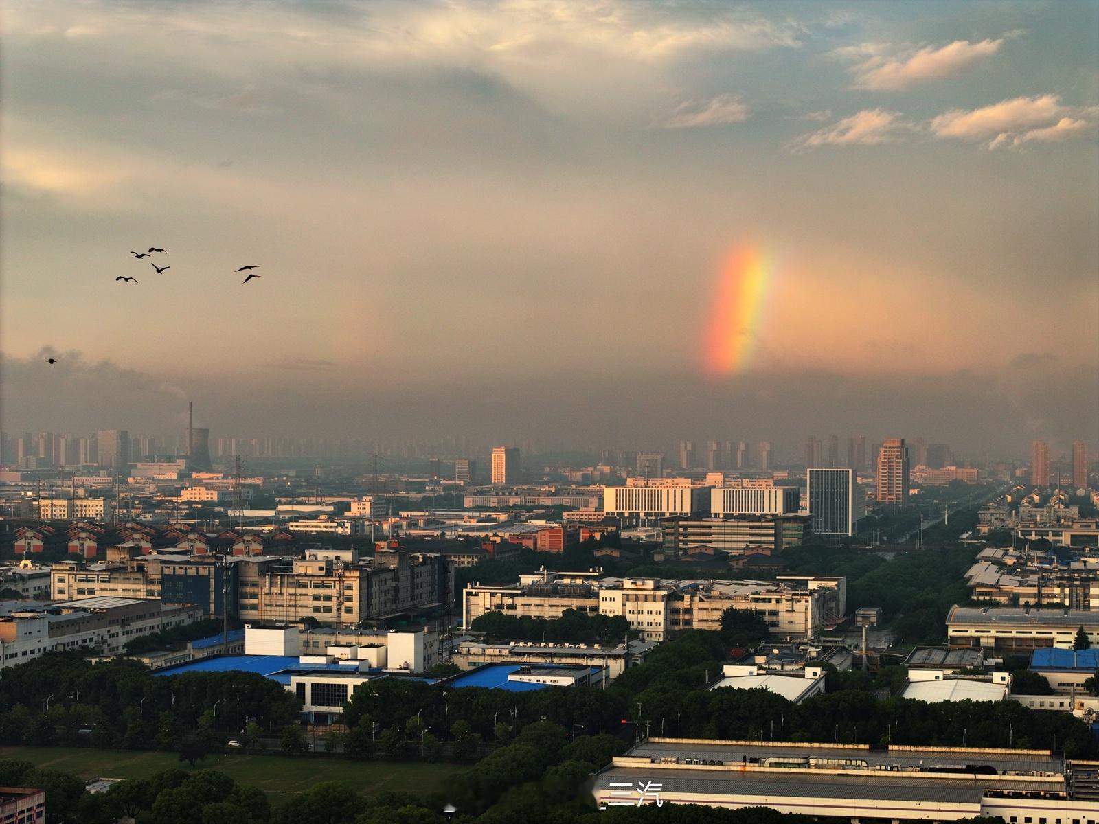 这是昨晚雨后莫名奇妙的半截彩虹 ​​​