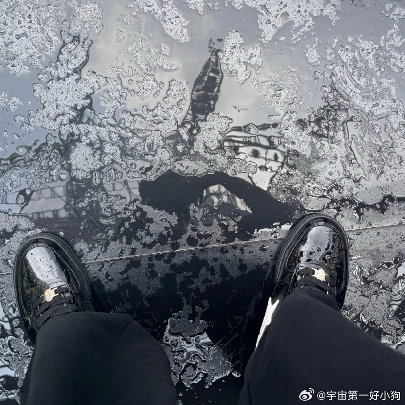 伯可不会觉得自己是大jiojio 因为在伯的视角里伯爪是两只小熊猫🐼耳朵 