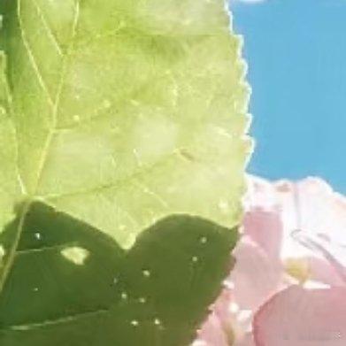 阳光落在肩头时，连影子都带着光，原来平凡日子里，藏着不期而遇的温柔阳光信用每日一