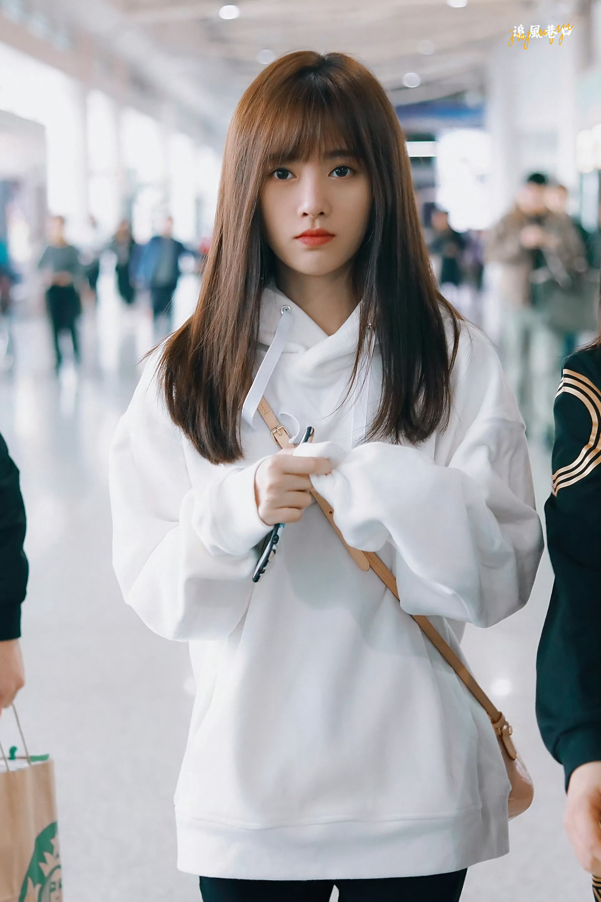 鞠婧祎阿黛 丨鞠婧祎  ₊⁺☘︎ ˖⁺是陪伴给我力量 枝芸夏刈