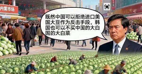韩国某智库称："既然中国可以拒绝进口美国大豆作为反击手段，韩国也可以不买中国的大