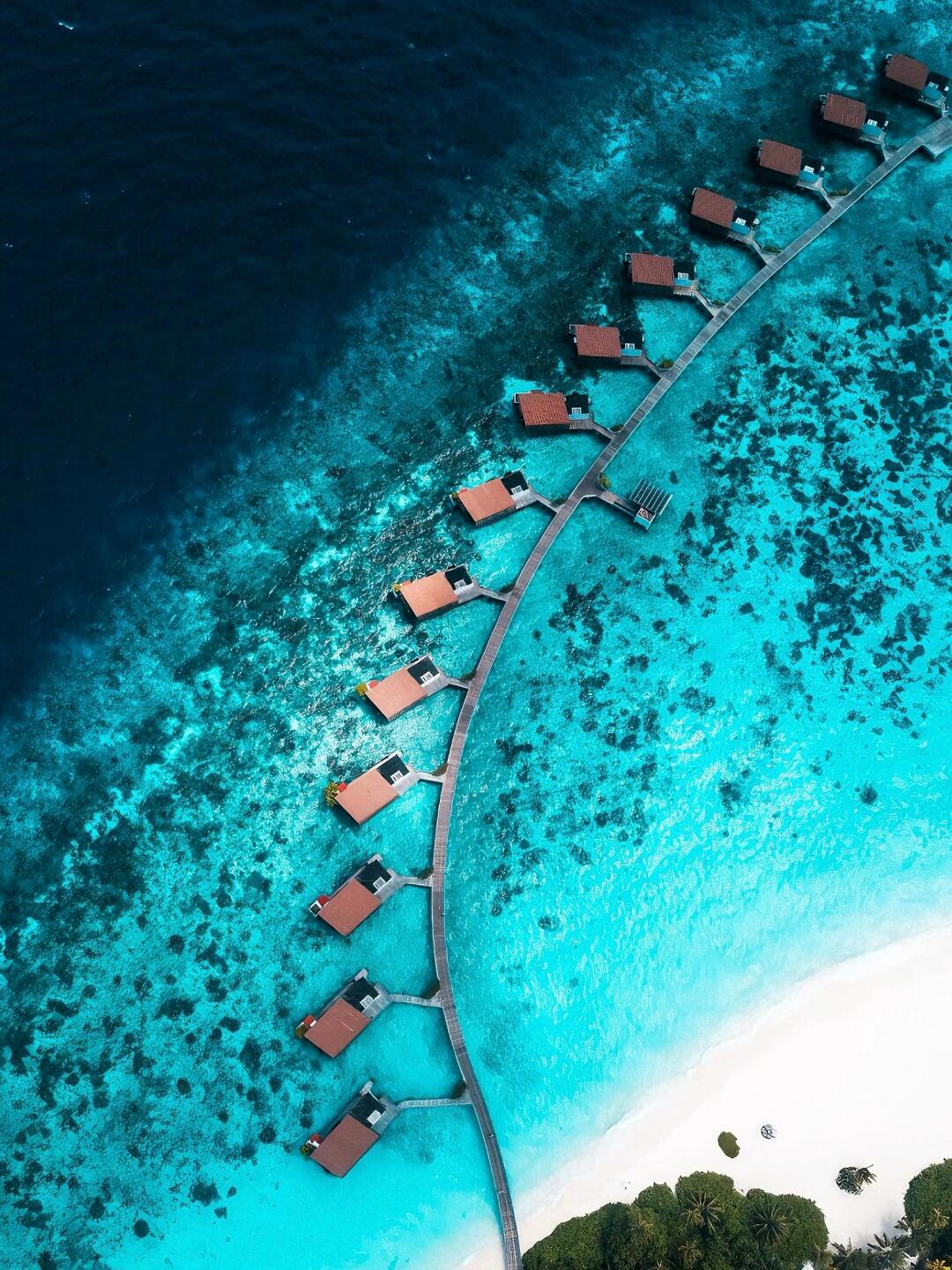 当你的管家是海洋生物学家🌊