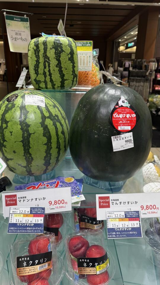 想买个西瓜一看要小五百块钱，算了，不吃了