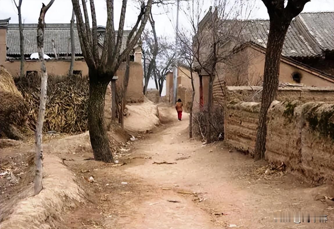 如今生活水平提高了，吃什么都觉得比不上小时候的滋味。
小时候一放学，买个烧饼，风