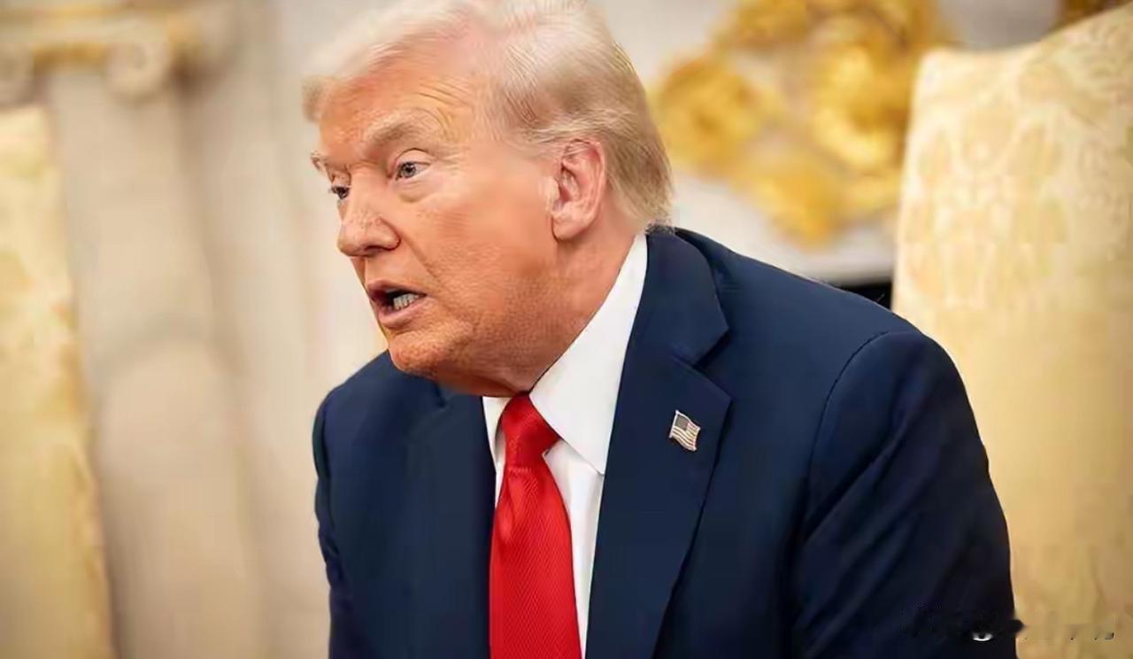 梅德韦杰夫有言：特朗普欲效普京为总统，然终不能及。普京以铁腕安邦，振俄于困厄，聚