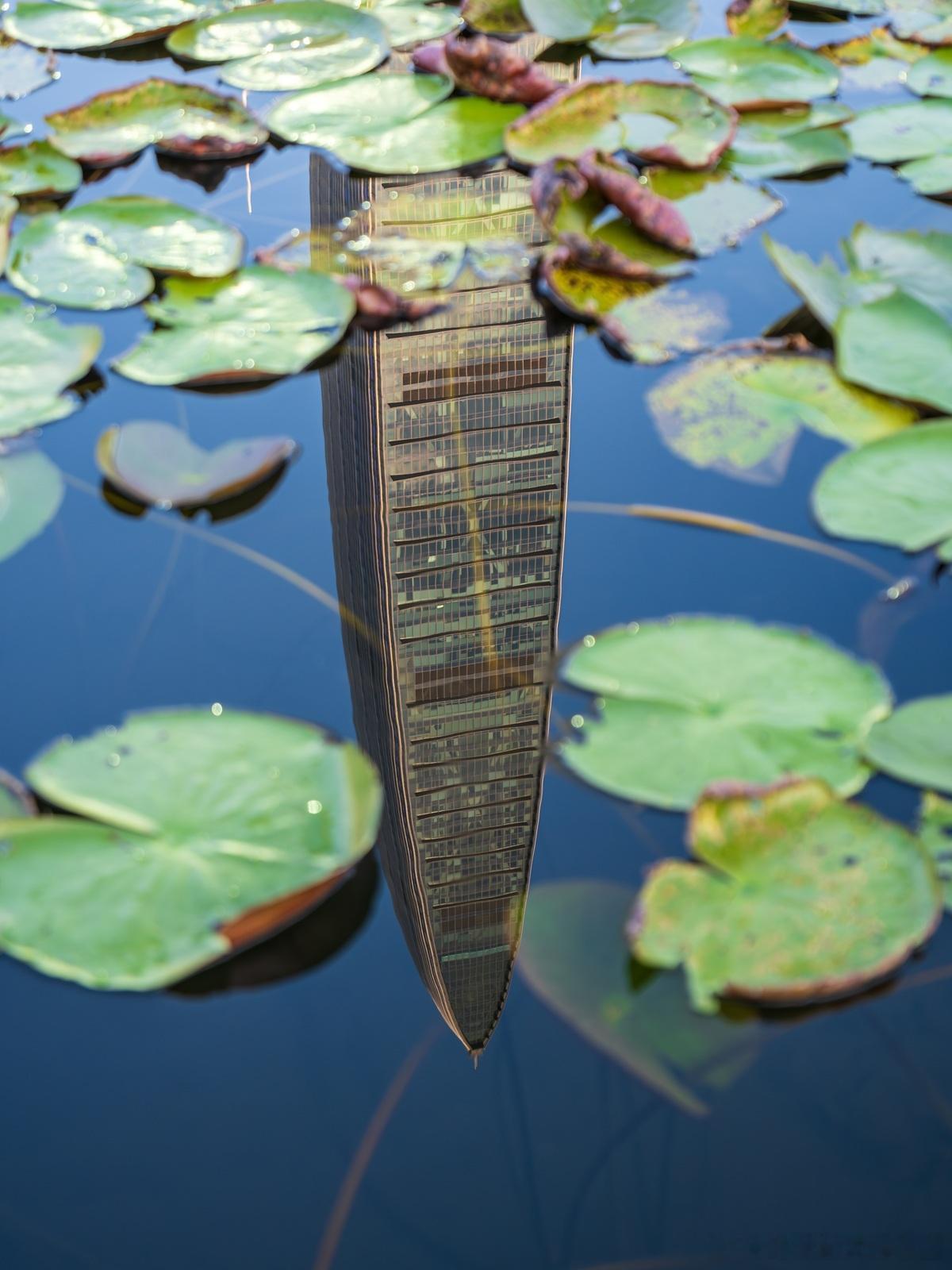 虽然风险投资本身就具有风险性，但如果风险可控很容易获得投资人的认可，就是要风险“