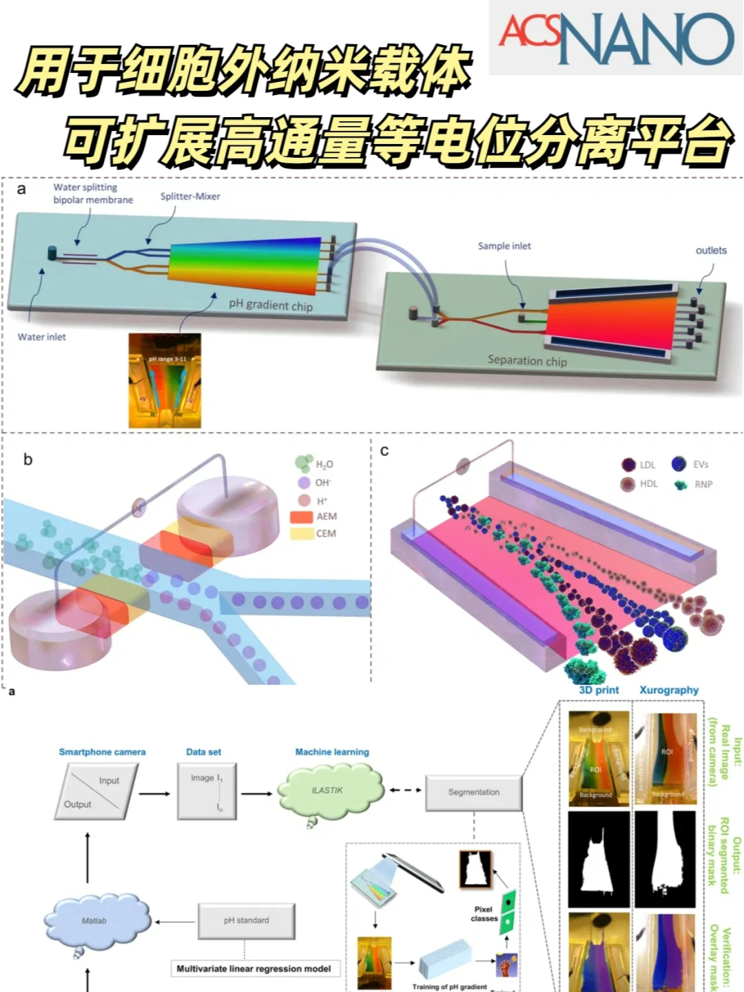 细胞外纳米载体可扩展高通量等电位分离平台