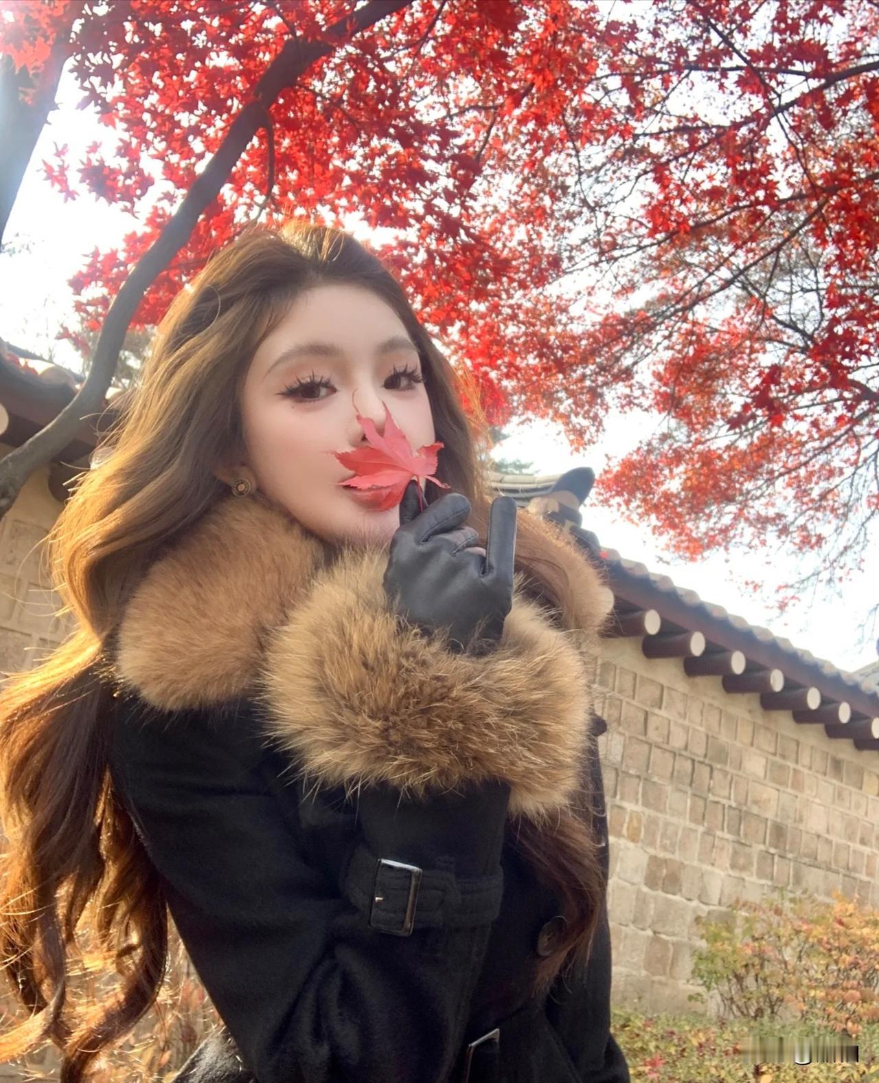 可以分享一张秋景树叶的照片吗