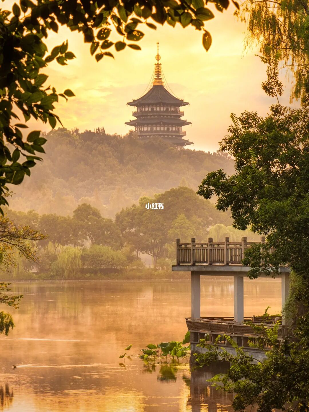 杭州这⑧个机位，发朋友圈被问爆了‼️