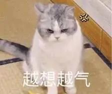 一看就气，越想越气！