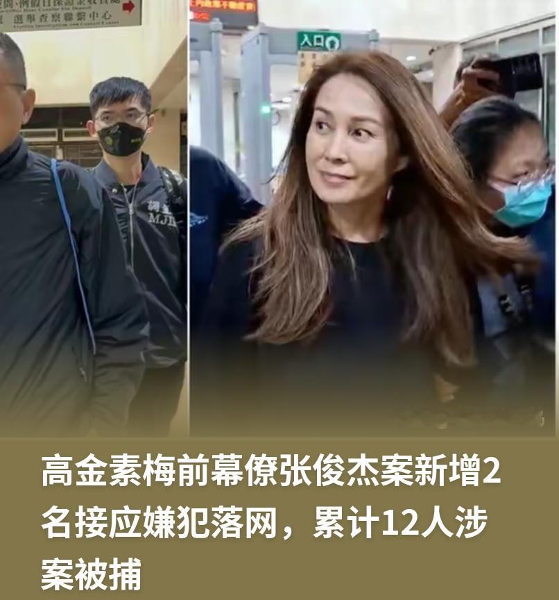 12人接应、5次换装、通缉到2059年：张俊杰逃亡追捕案，不得不让人怀疑民进党当