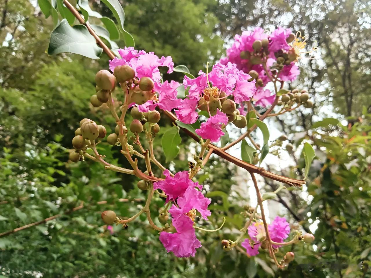 碰到这样的小姑子，我该怎么办？
 
我和老公结婚已经有二十多年了，婚后就一个儿子