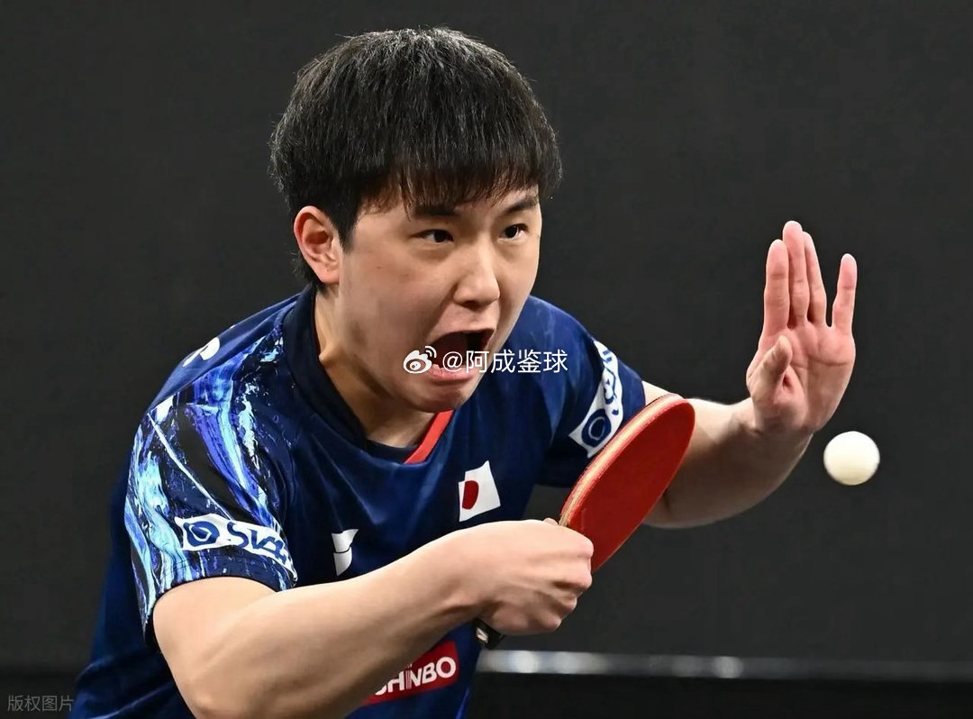 张本智和4比1吴晙诚张本智和横滨赛冠军 2026WTT横滨冠军赛男单决赛，张本智