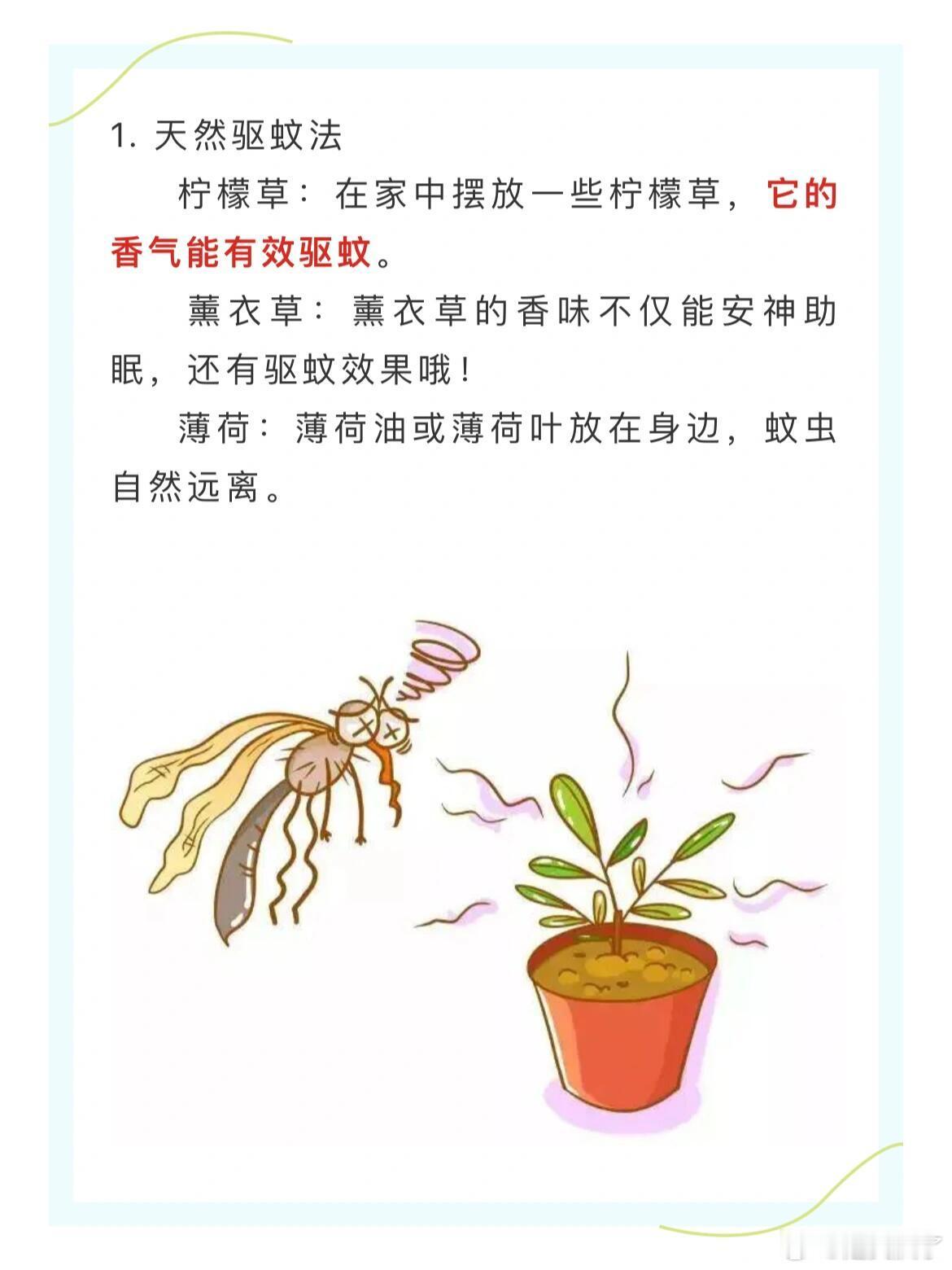 夏季驱蚊的5个小妙招   随着夏日的脚步渐近，蚊虫也开始“活跃”起来，你是不是经