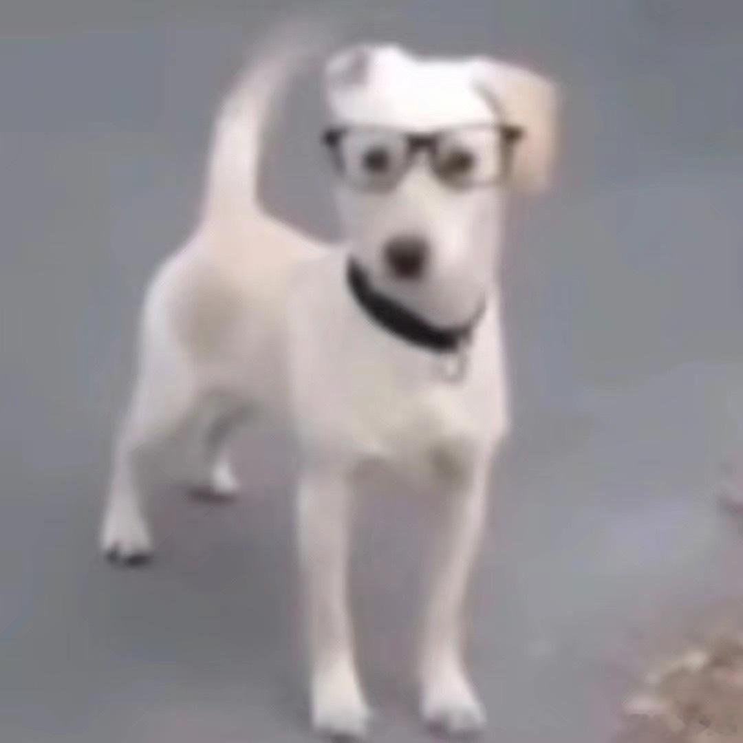 你很突然，我什么都没准备。 