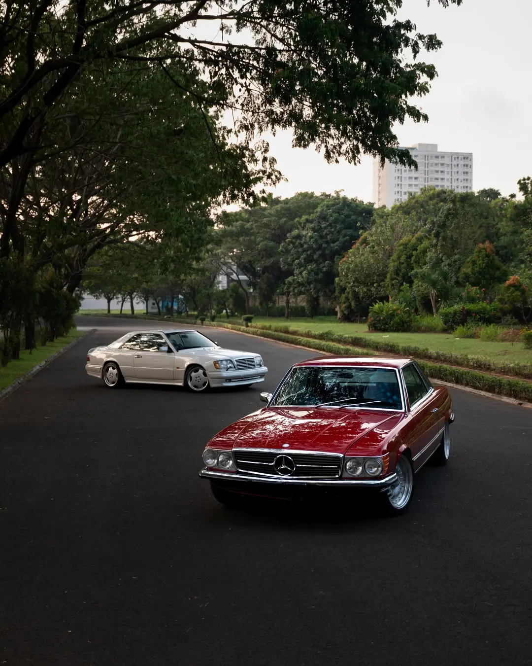 无题。Mercedes-Benz 350 SLC  1972 Merc...