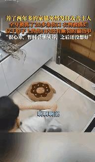 “真绷不住了！”湖北武汉一男子想跟养了2年多的猫玩，没成想猫突然发狂咬人——他浑