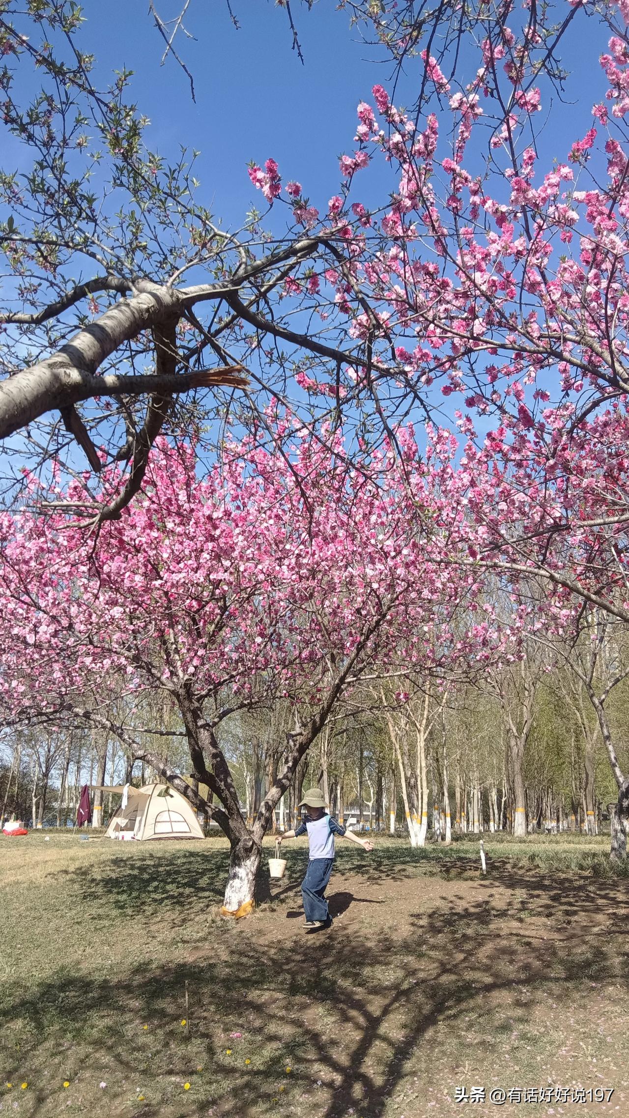 上联：秋霜落尽雁无影
下联：桃花盛开雏凤鸣