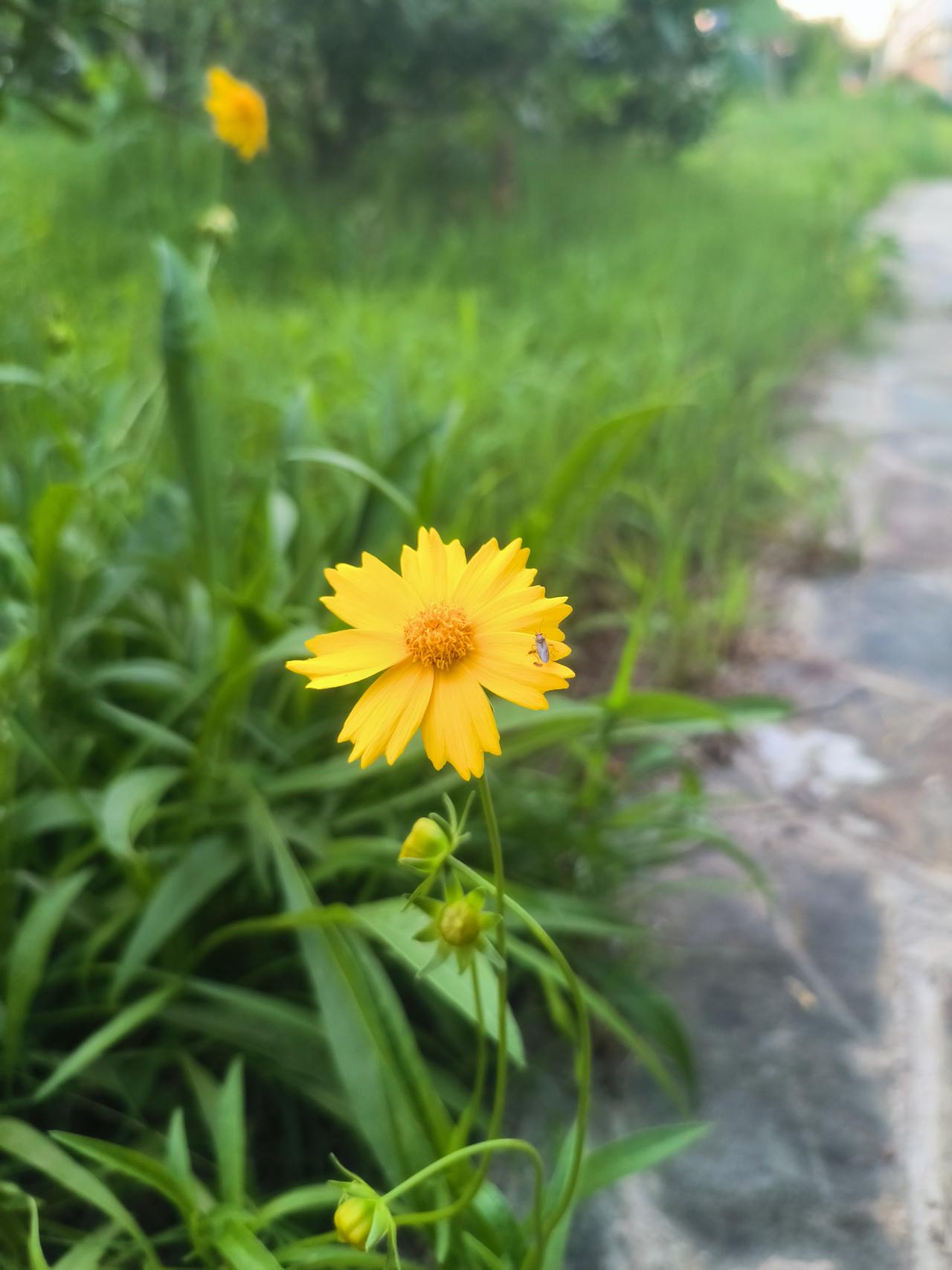 职场有定力，方能不迷乱。

人在职场，一定要考虑到自己工作的目的是什么，是为了养