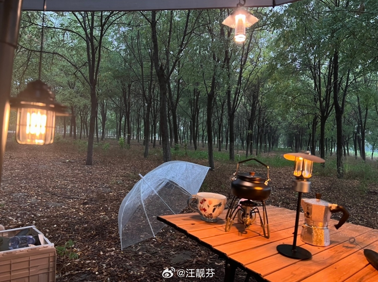 想我的露营生活了。再暖和点就不用缩手缩脚的玩耍啦。露营汪靓芬的女性活法