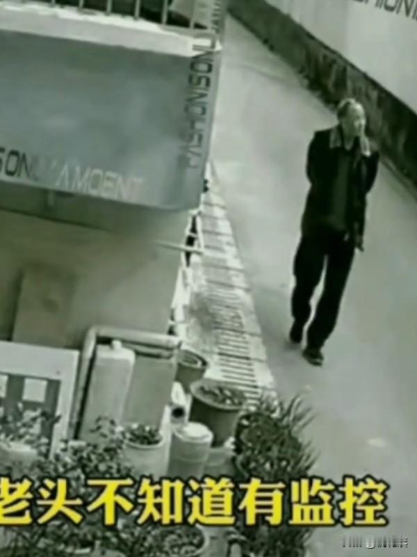 你说：现在是老人变坏了，还是坏人变老了？

老年人这个社会群体这一类人有的品质很