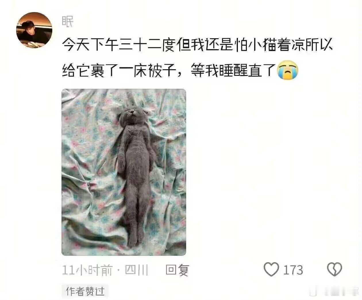 虐待动物的人也太可恶了！不爱可以不养，养了又给虐死[流汗] ​​​
