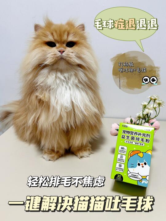 新手养猫｜教你如何温和排毛不伤猫猫肠胃