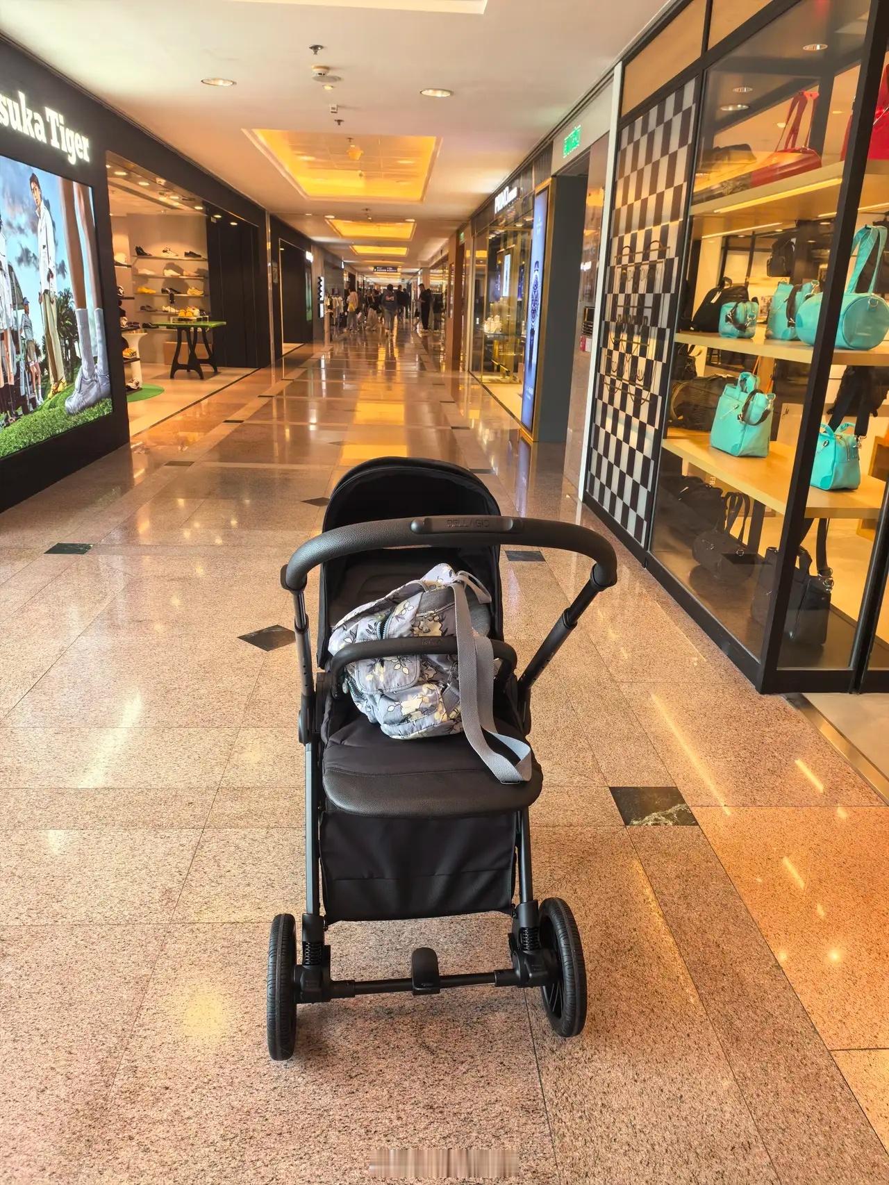 昨天刚看到有婆婆专门从龙华坐高铁到香港海港城买婴儿车给孙子，叫什么chicco 