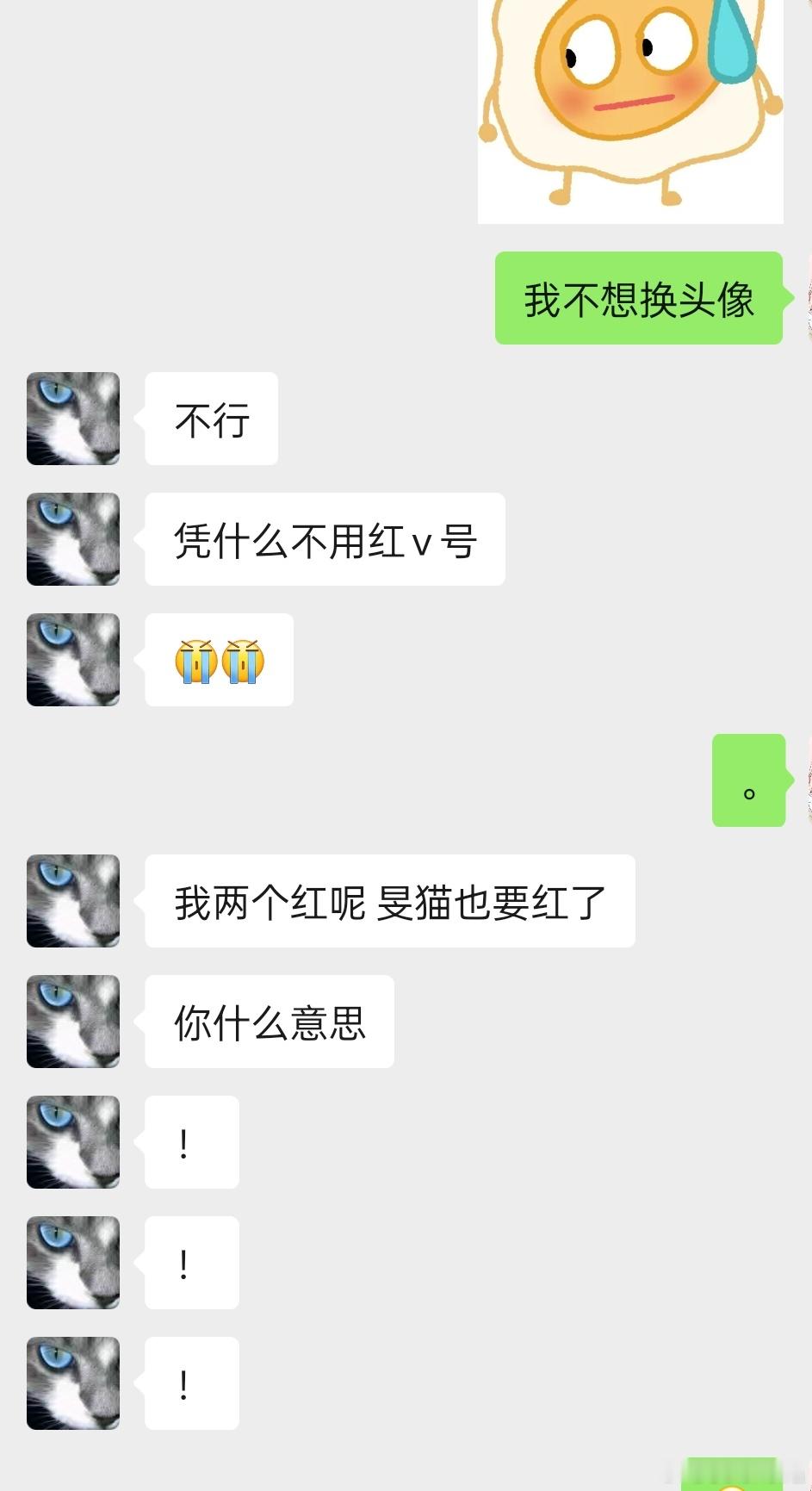 被小猫家族绑架了 ​​​