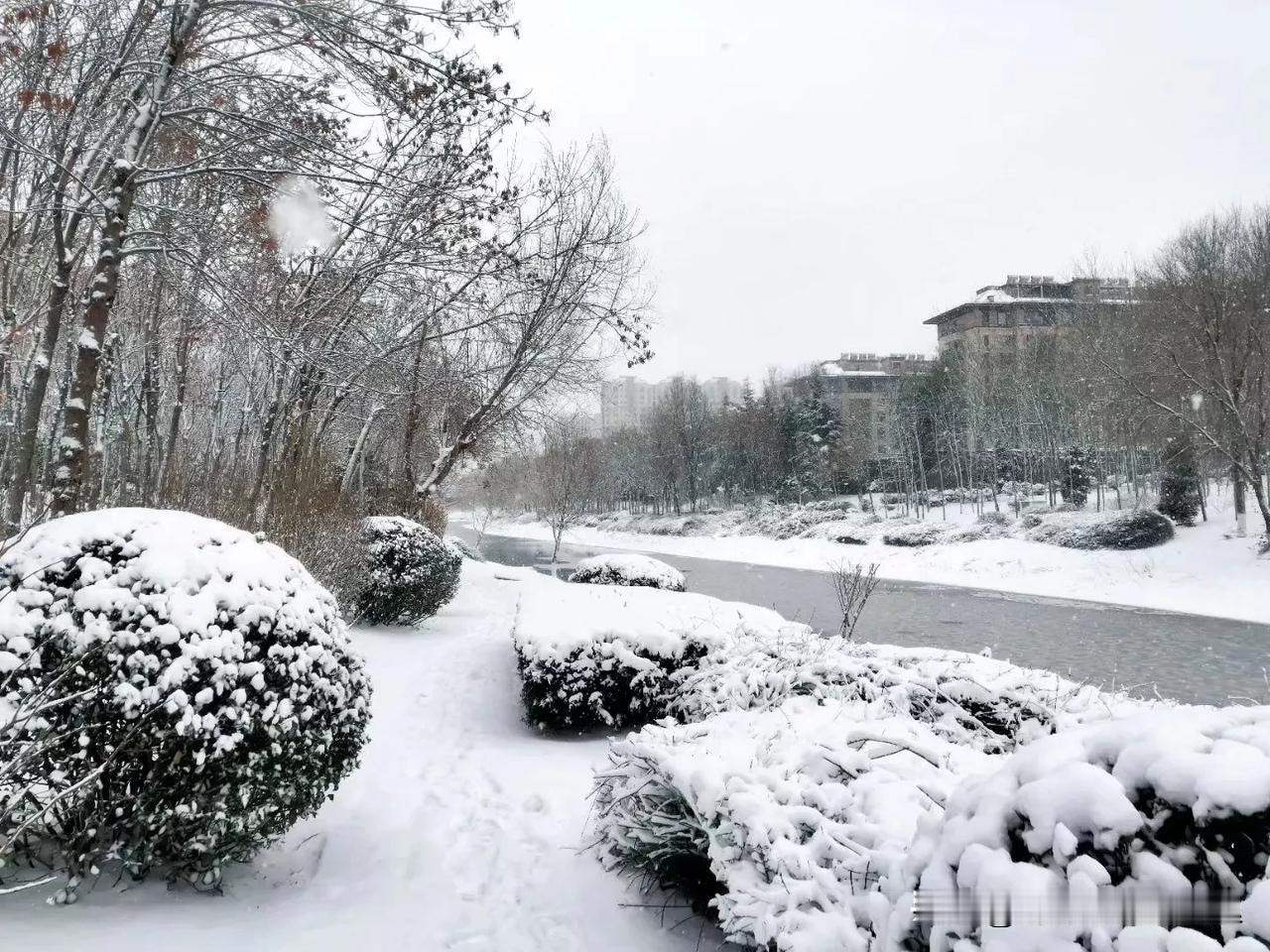 这两年山东也下雪少了，小时候的冬天，睡一夜起来，经常就是白雪皑皑的世界。