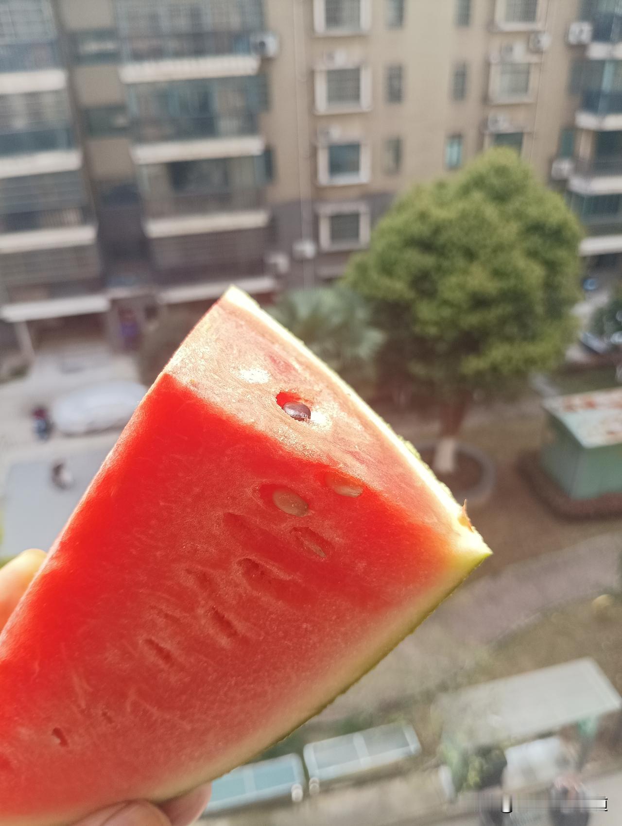 吃不了学习的苦，就要吃生活的苦。这是蒙蔽大众的伪励志，为什么高学历的人自杀的多？