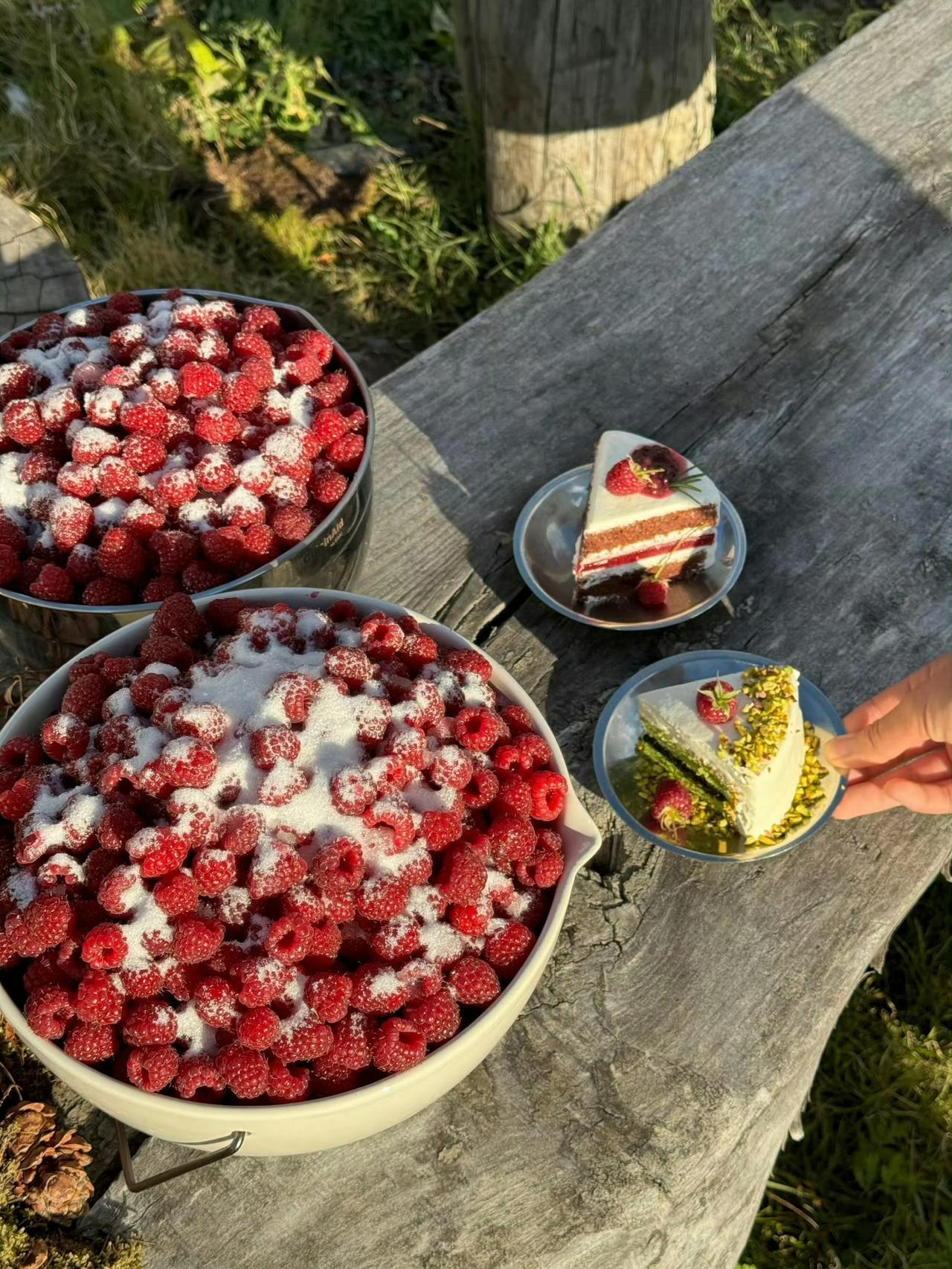 阿勒泰的秋天🍂