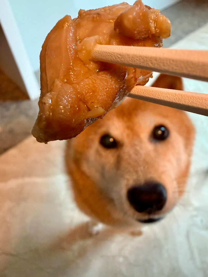 去皮鸡腿肉很多汁随手拍萌宠的日常