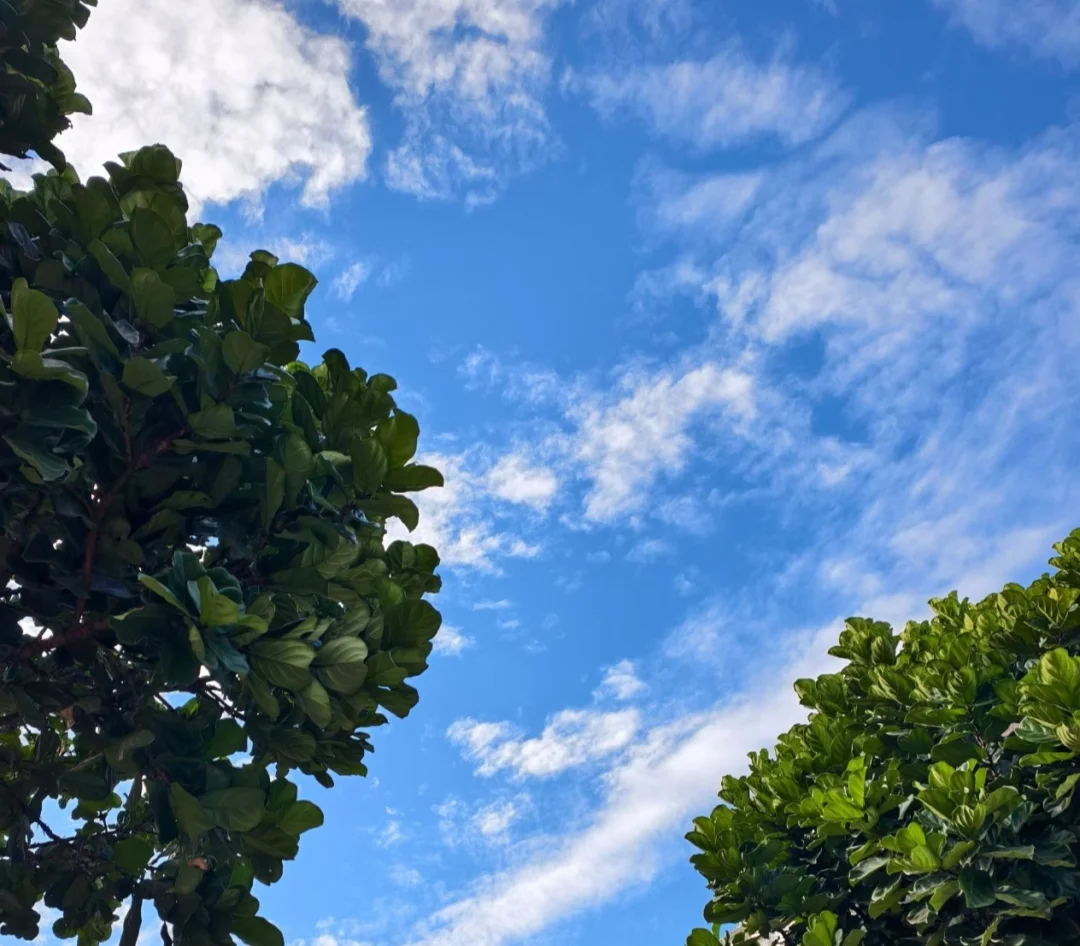 广东剑指32度，夏日炎炎，短袖回归