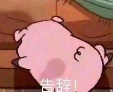 热乎的片儿川、冰镇的绿豆汤随点随到，延伸到园艺的多肉盆栽、办公的无线鼠标、甚至钓