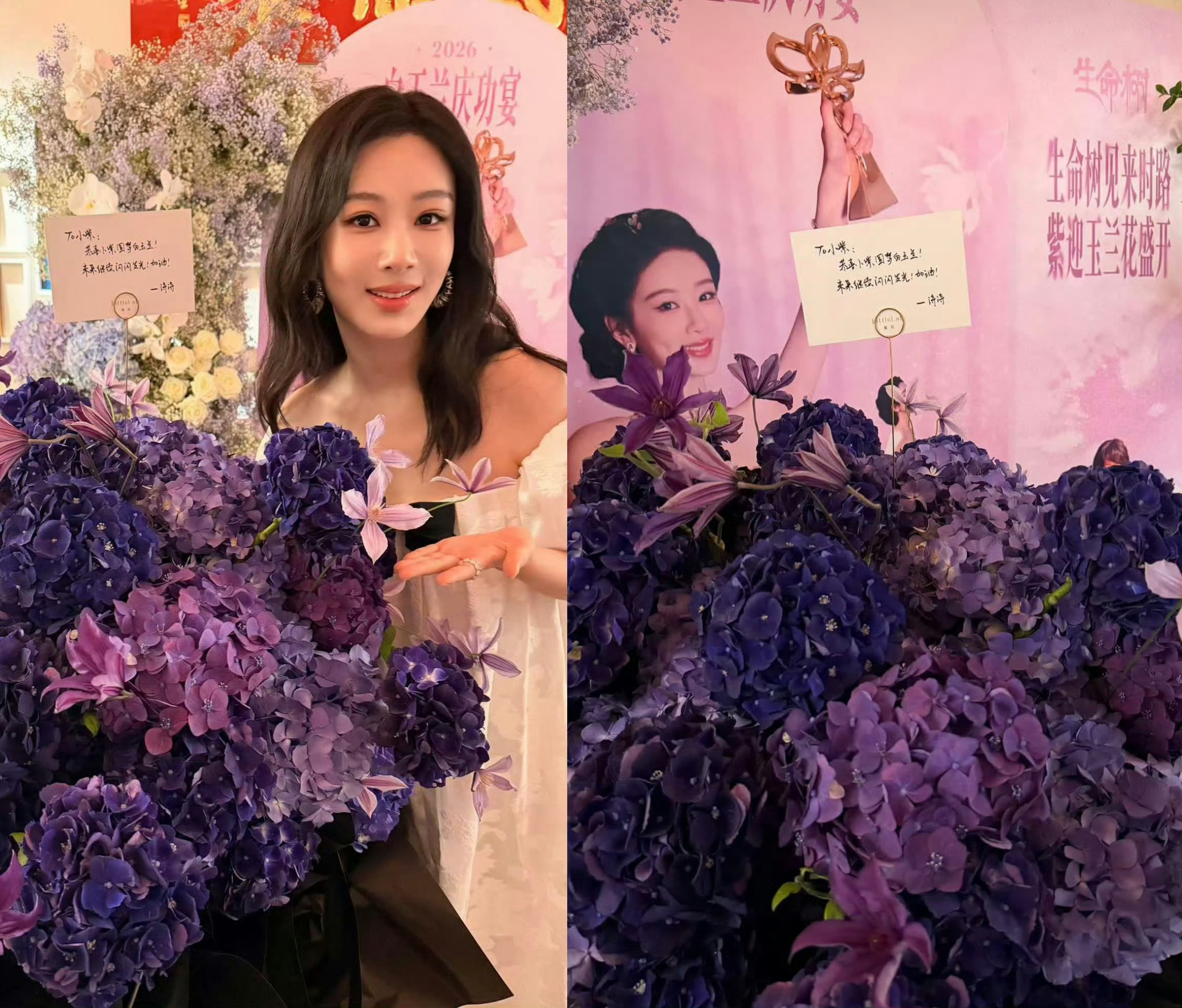 生命树见来时路紫迎玉兰花盛开💐 