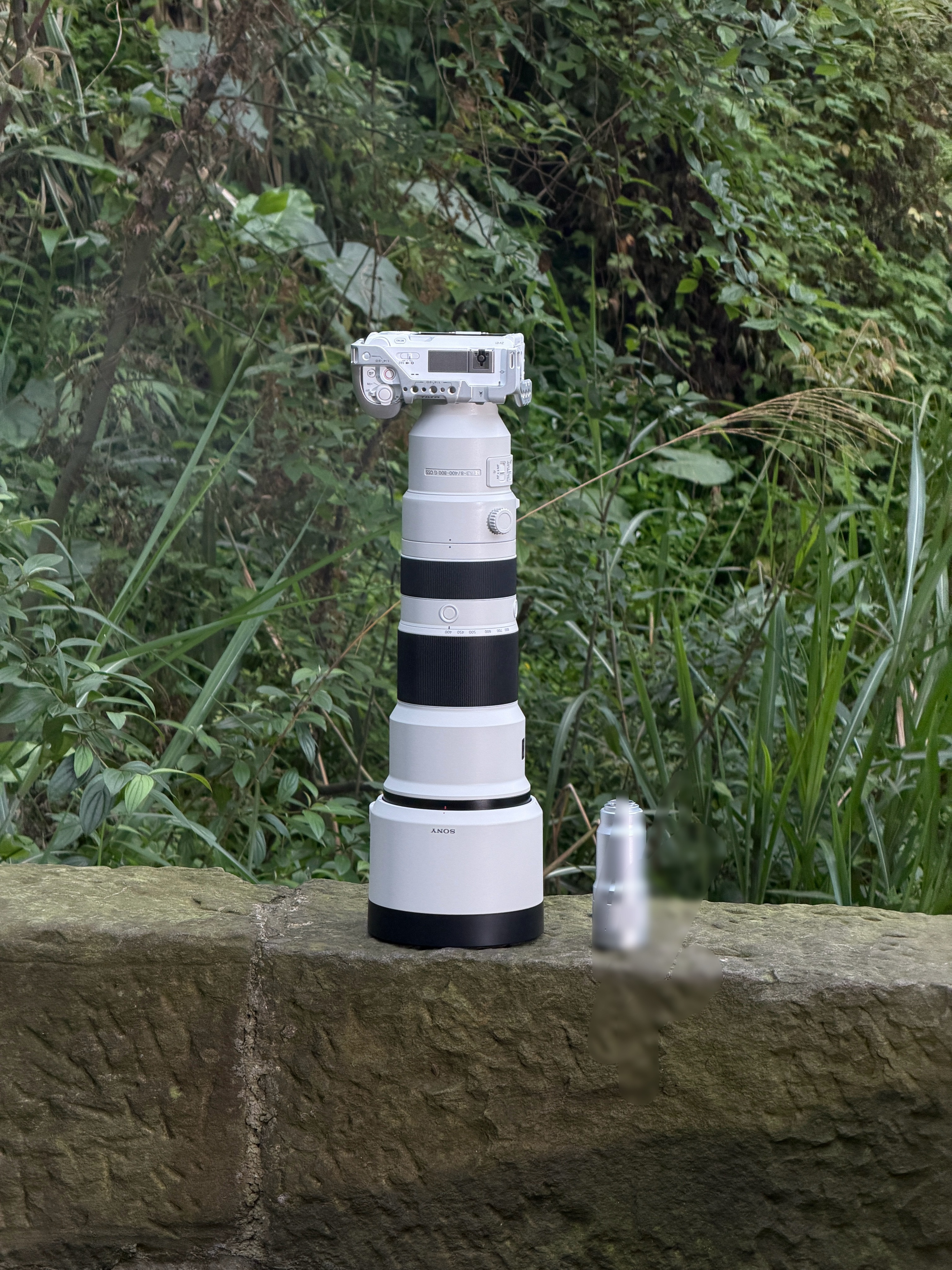 很硬的兄弟们早早早！ 硬起来