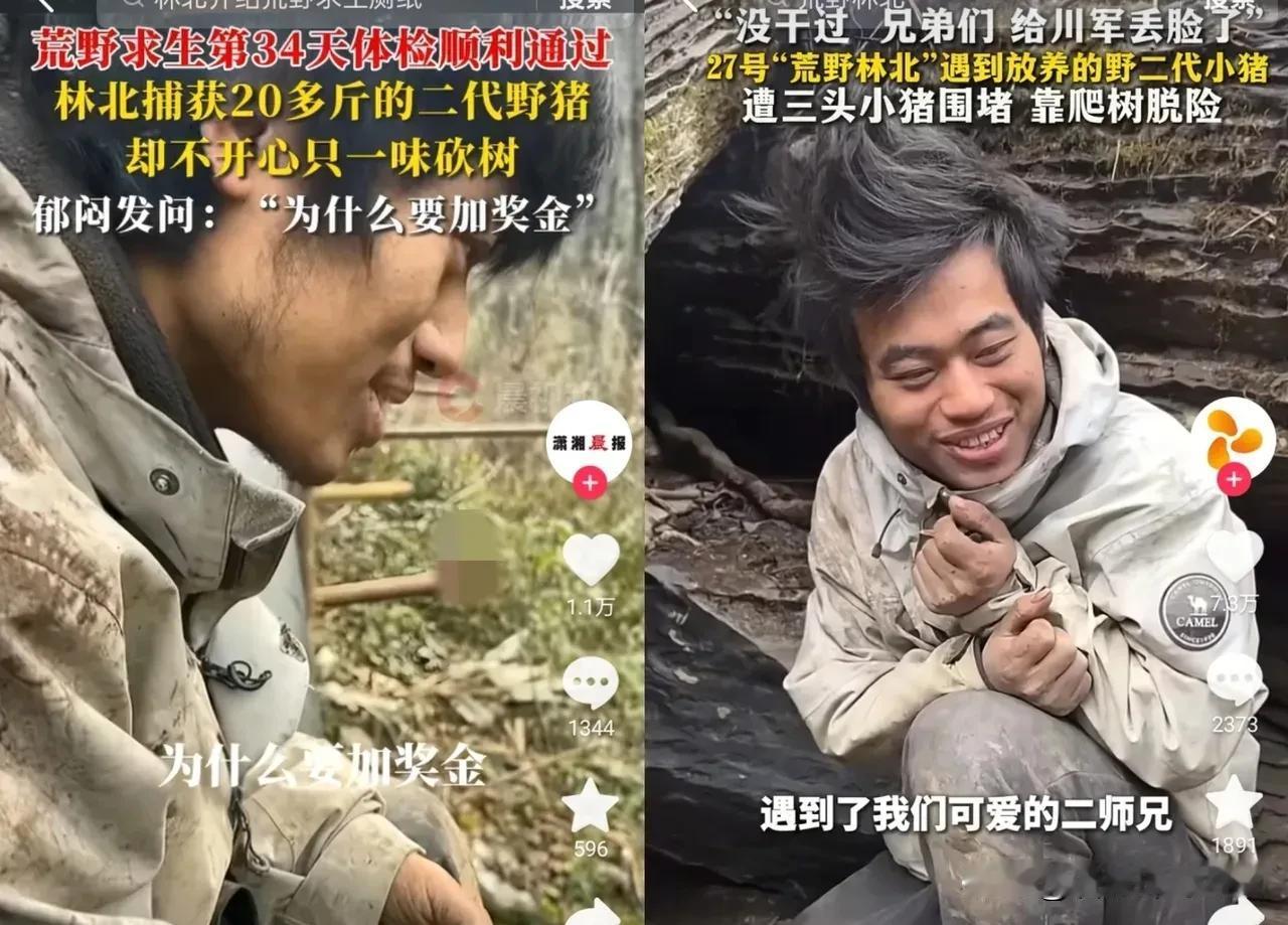 林北“估计要得冠军了”！
苗王都被他整崩溃了，他搞到一头20多斤的小野猪，家里还