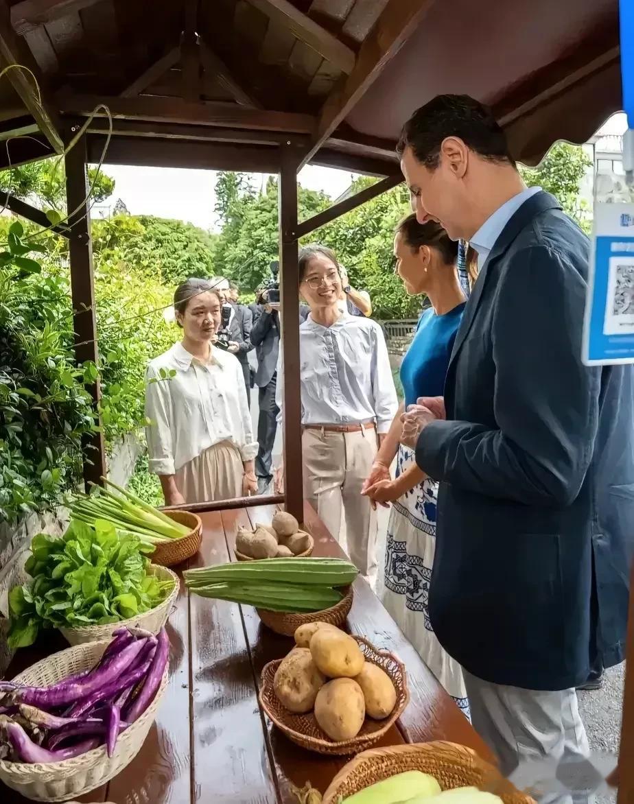 从巴沙尔和夫人阿诗玛站在这个瓜果蔬菜旁的照片，我有一种感觉，那就是我们这边的蔬菜