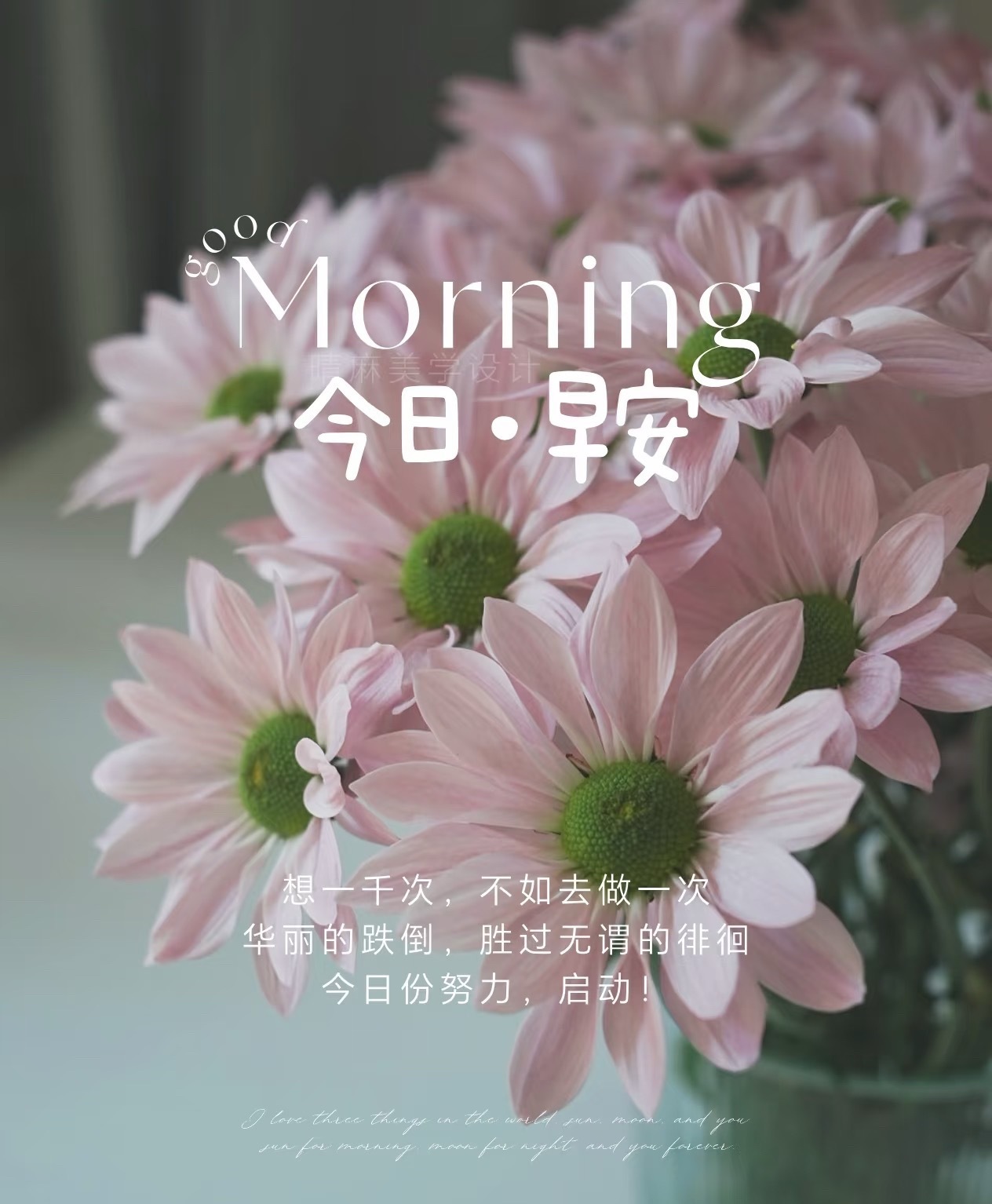 温柔是治愈的良药，豁达是生命的智慧。愿你迎着朝阳前行，揽尽身边温柔与好运，日子鲜