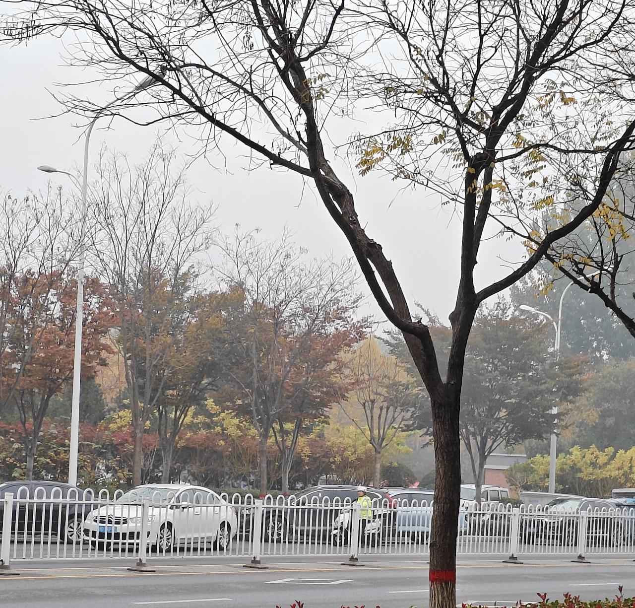 今天早上，即墨区营流路即墨大集路段又有好多车被贴了罚单！早就强调过，营流路即墨大