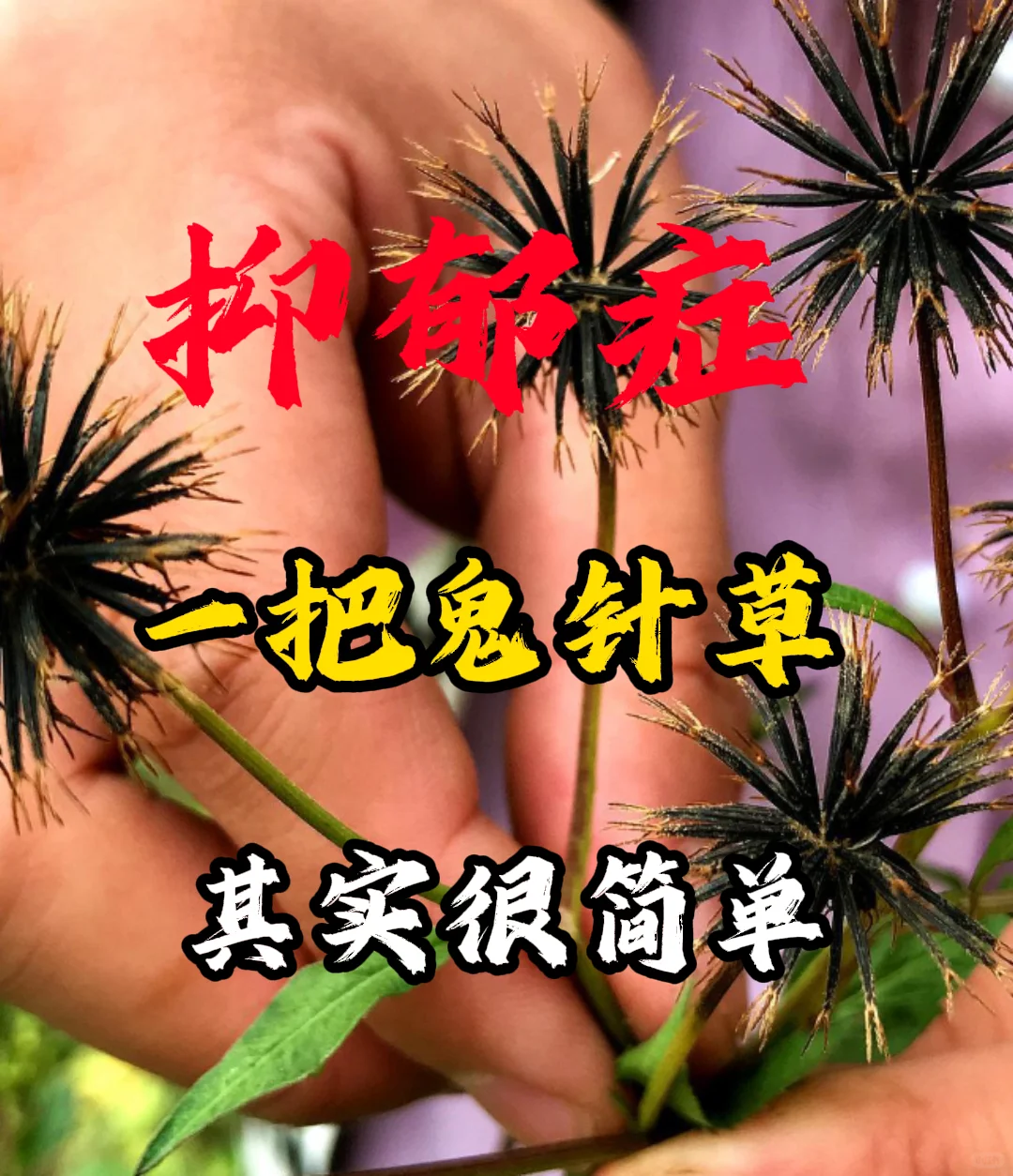 抑郁症躁狂患者自古以来被认为是鬼神作祟，因此古人有“十三鬼穴”抑制七情...