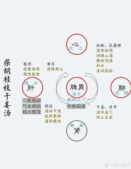 百变“魔”方柴胡桂枝干姜汤，竟然有如此多妙用？柴胡桂枝干姜汤，是《伤寒论》中柴胡