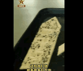 央视出品必是精品，等于官宣，不会像互联网上真真假假。